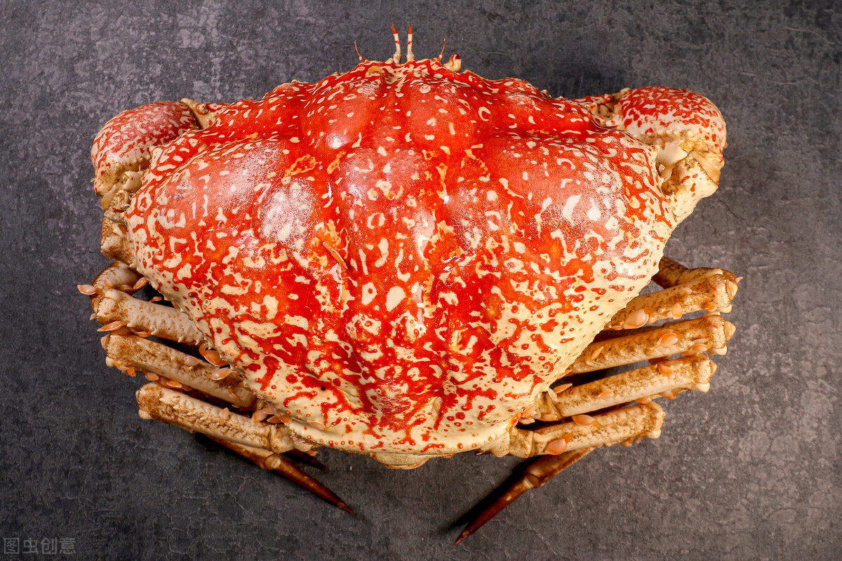 第二名 塔斯马尼深海皇帝蟹