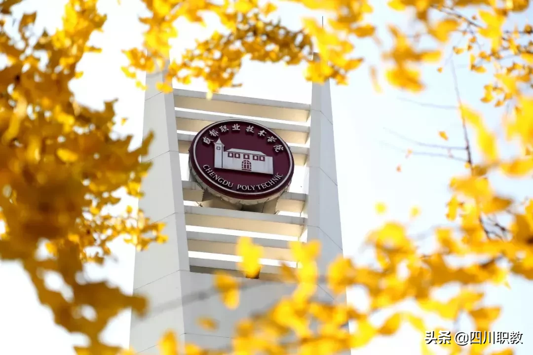 国家骨干高职之成都职业技术学院2019年单招计划、测试内容揭秘