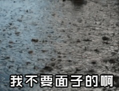 「网页」朋友圈集赞神器，免费生成，集赞不求人