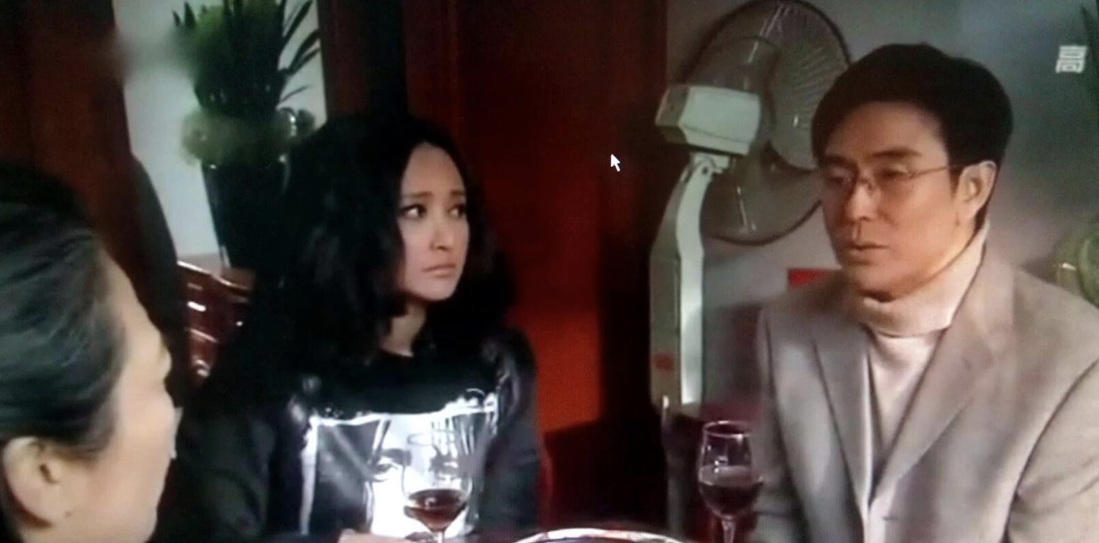 重温《北京爱情故事》：邵华阳精神出轨林夏，给异地夫妻提了个醒