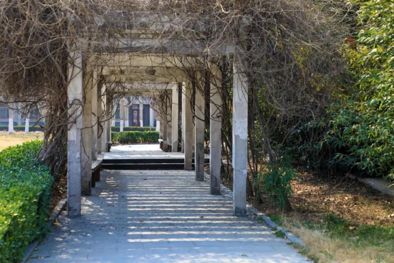 开始报名！河南大学2020运动训练、武术与民族传统体育专业招生简章公布！