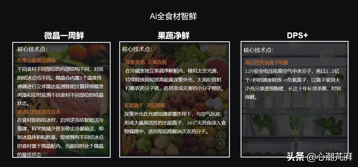 系统分析冰箱德系日系区别，附上11款神机作业给你学