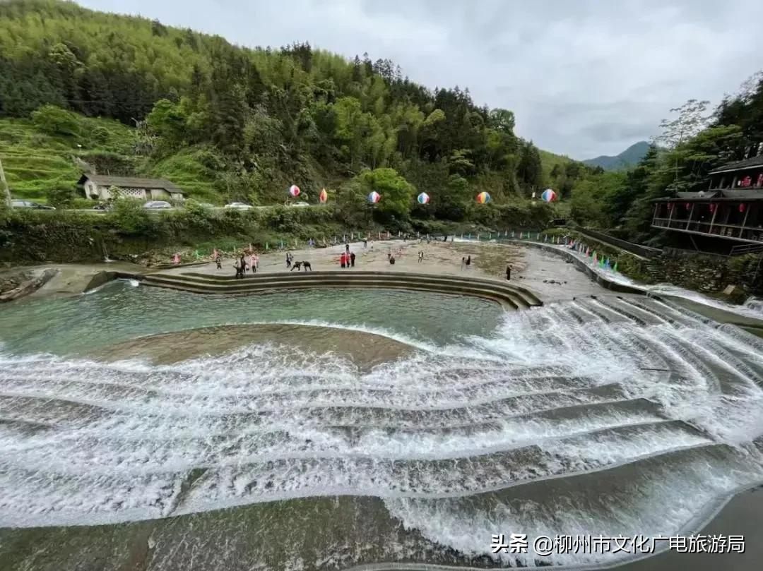 满山金色稻浪,为你换一屏秋色