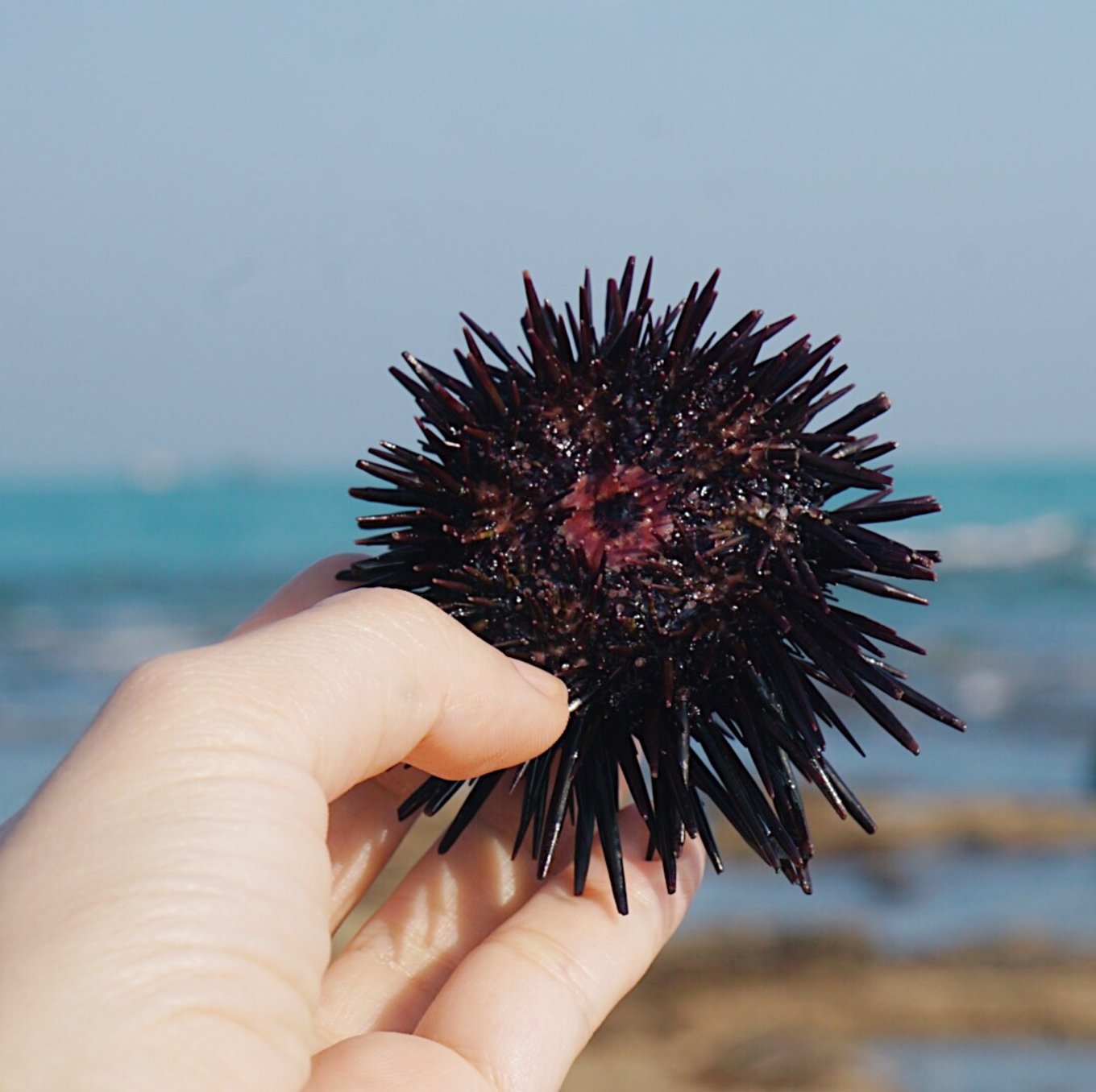 一个人来北海看海了