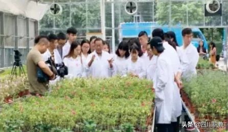 眉山历史最悠久的大学，岷江二桥旁，有“见桥大学”之称谓