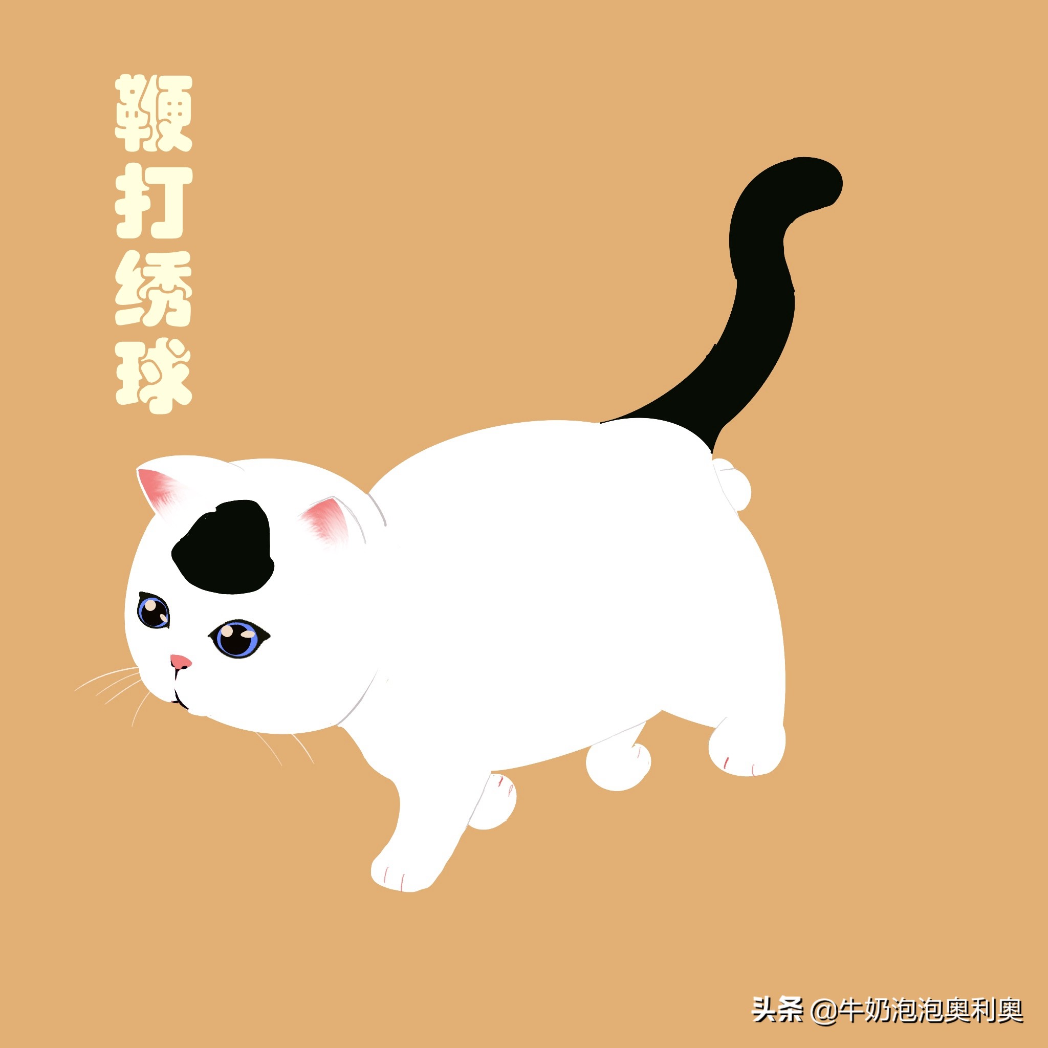 古代猫咪花色名称大全，中国风韵十足，你家逆子叫啥名？