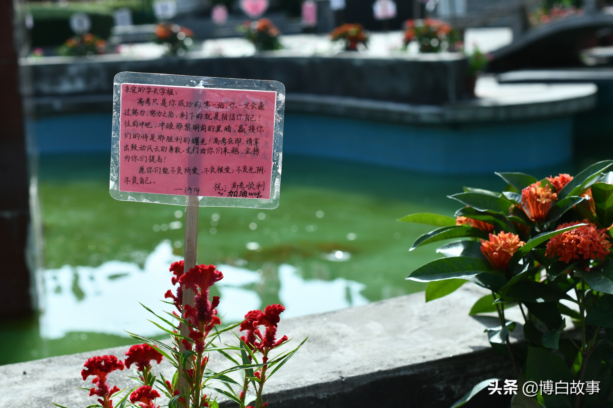 广西博白县中学做了大量工作，确保考生以最佳状态参加高考