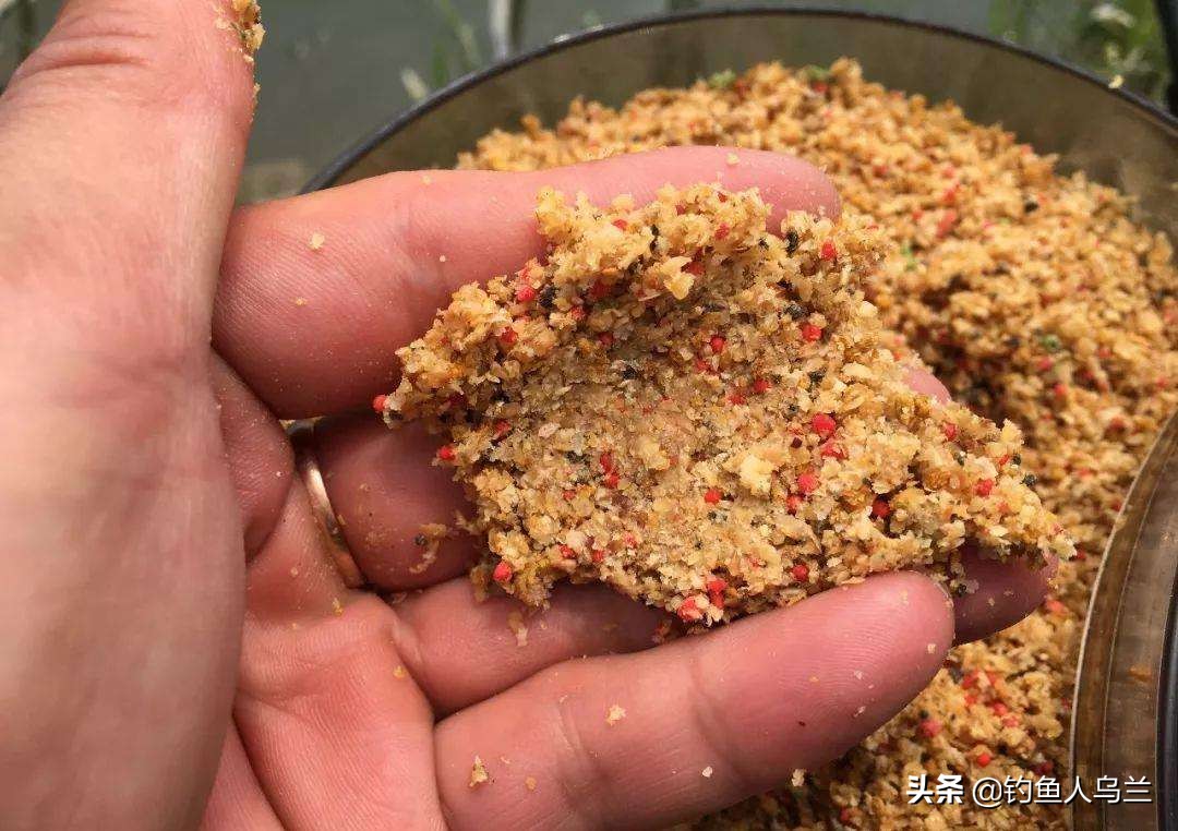 它是鲤鱼却没有鳞，干货解读：南方黑坑钓鱼新宠——裸斑鱼