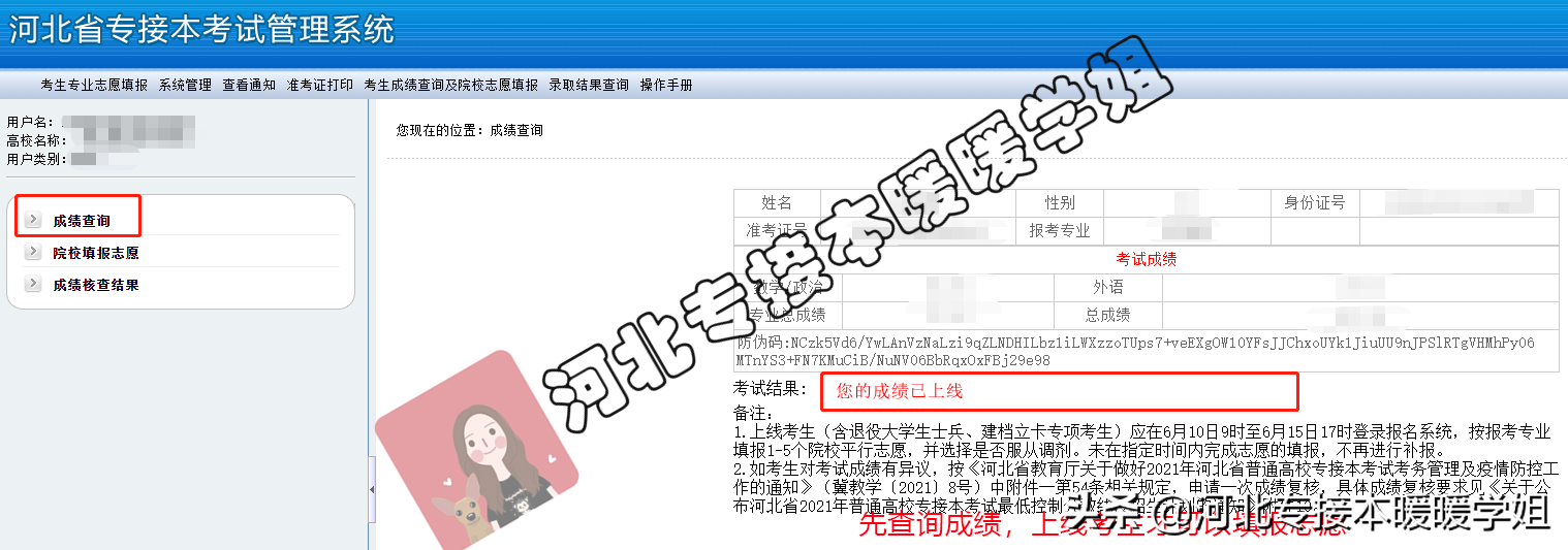 河北专接本填报志愿流程以及注意事项