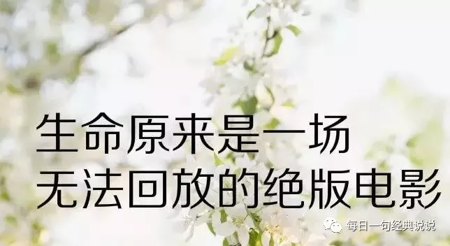 快手最热门的伤感句子