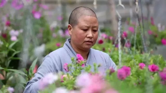 最美的尼姑庵，不烧香只种花，看一眼就想出家