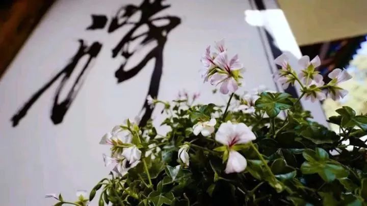 最美的尼姑庵，不烧香只种花，看一眼就想出家
