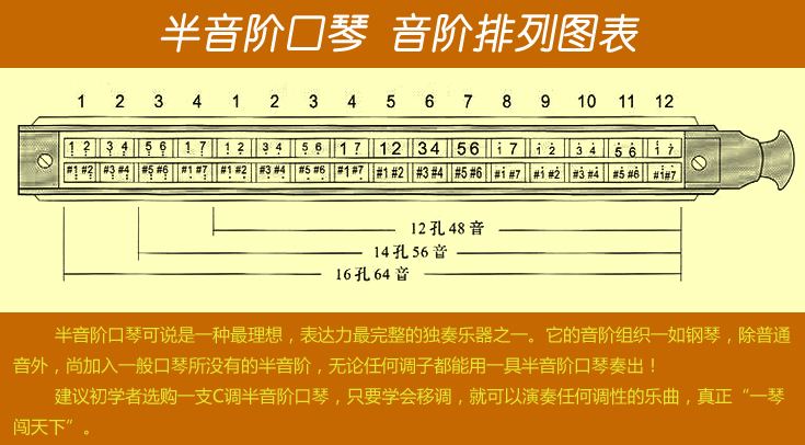 解析口琴的构造与材质-解析口琴的构造与材质图 - 114知识网