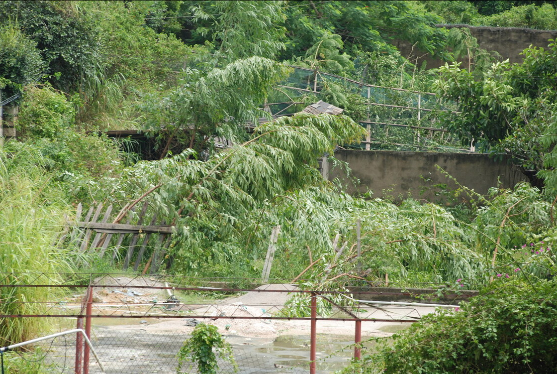 台风来袭！若造成待拆迁房屋倒塌或受损严重，该如何确定补偿？