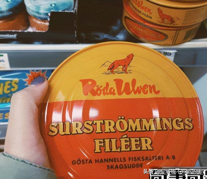 世界上最臭的食物鲱鱼罐头