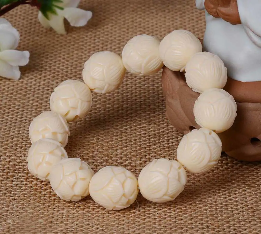 象牙果的几个小知识