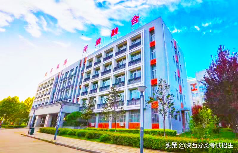 渭南职业技术学院2020年示范高职院校单独考试招生章程