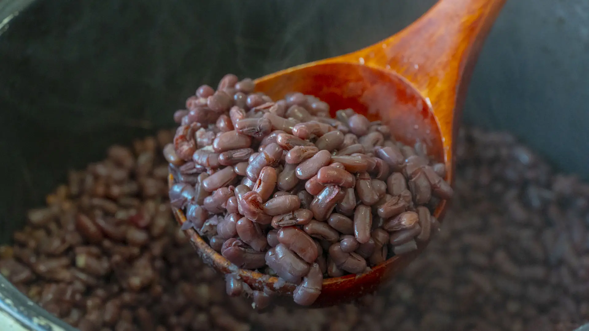 秋冬季养生食谱大全（冬季养生7道美食推荐）