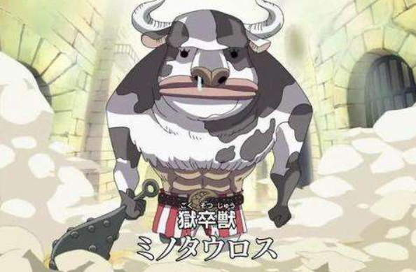 海贼王蛮霸者之一的八茶强吗新登场人物分析