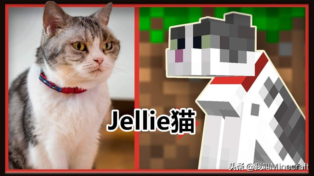 如何在《我的世界》里做一名合格的“铲屎官”？MC猫咪全攻略！