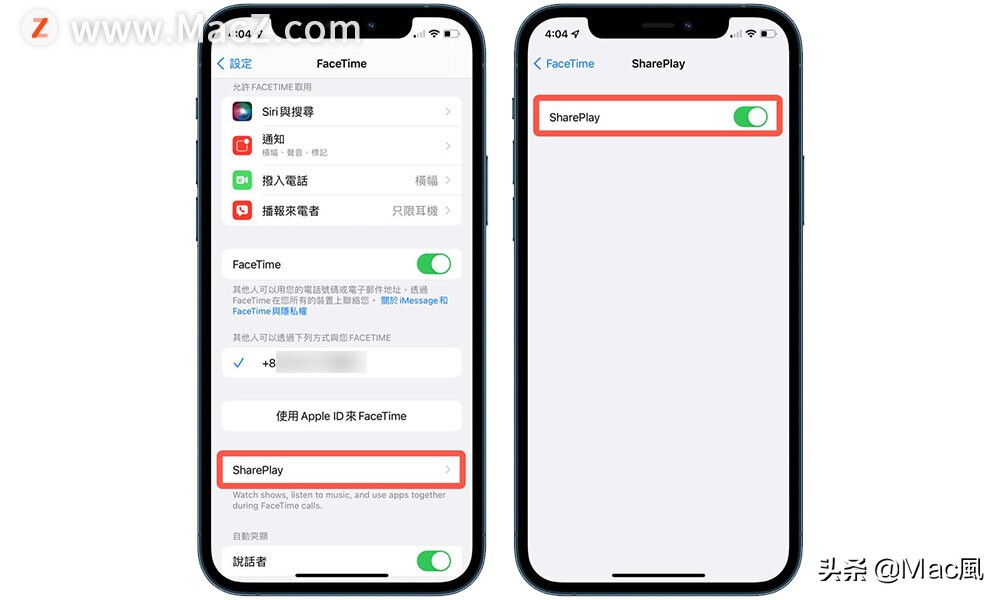 如何使用 SharePlay  在 FaceTime  中共享画面同步播放？