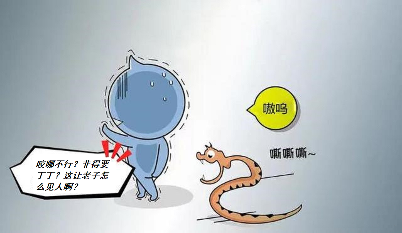 最担心的事终于发生！荷兰男子蹲马桶丁丁被蛇咬，还是剧毒眼镜蛇