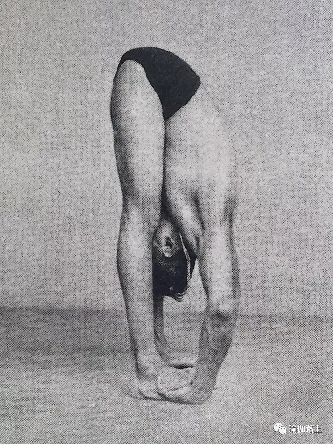 艾扬格密集一 | 32 个经典体式 & 2 大呼吸法经典示范图