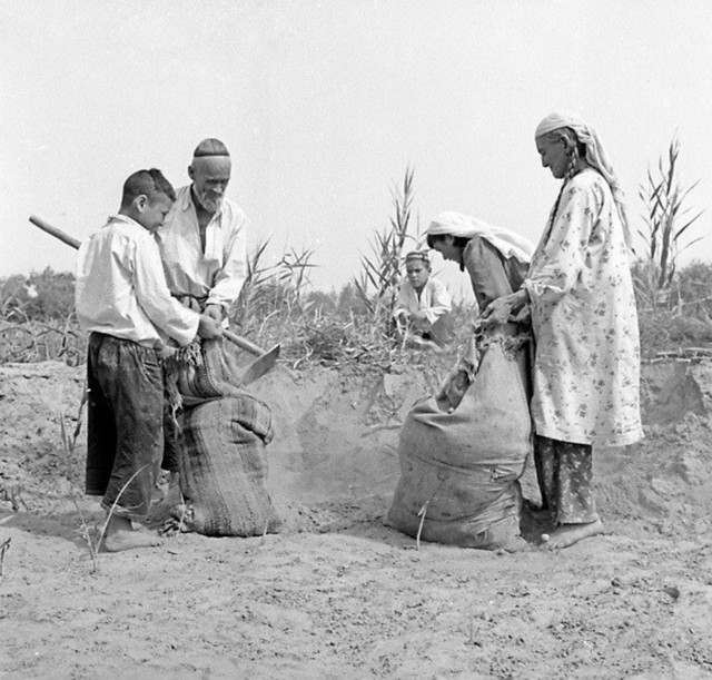 1956年，那位骑着毛驴去北京见毛主席的新疆老农，最后见到了吗？