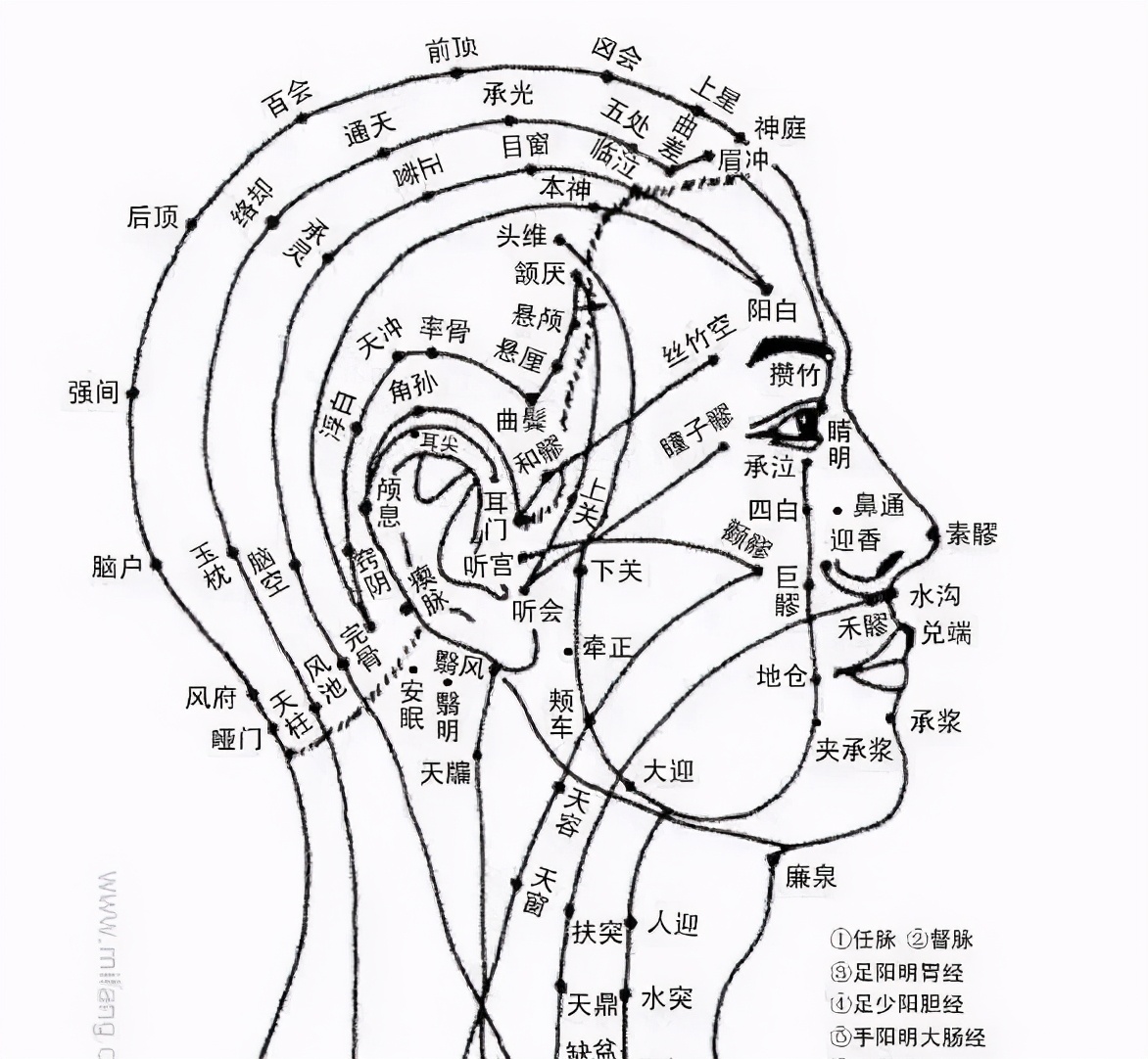 面對眾多的梳子品牌，你真的選對了么？