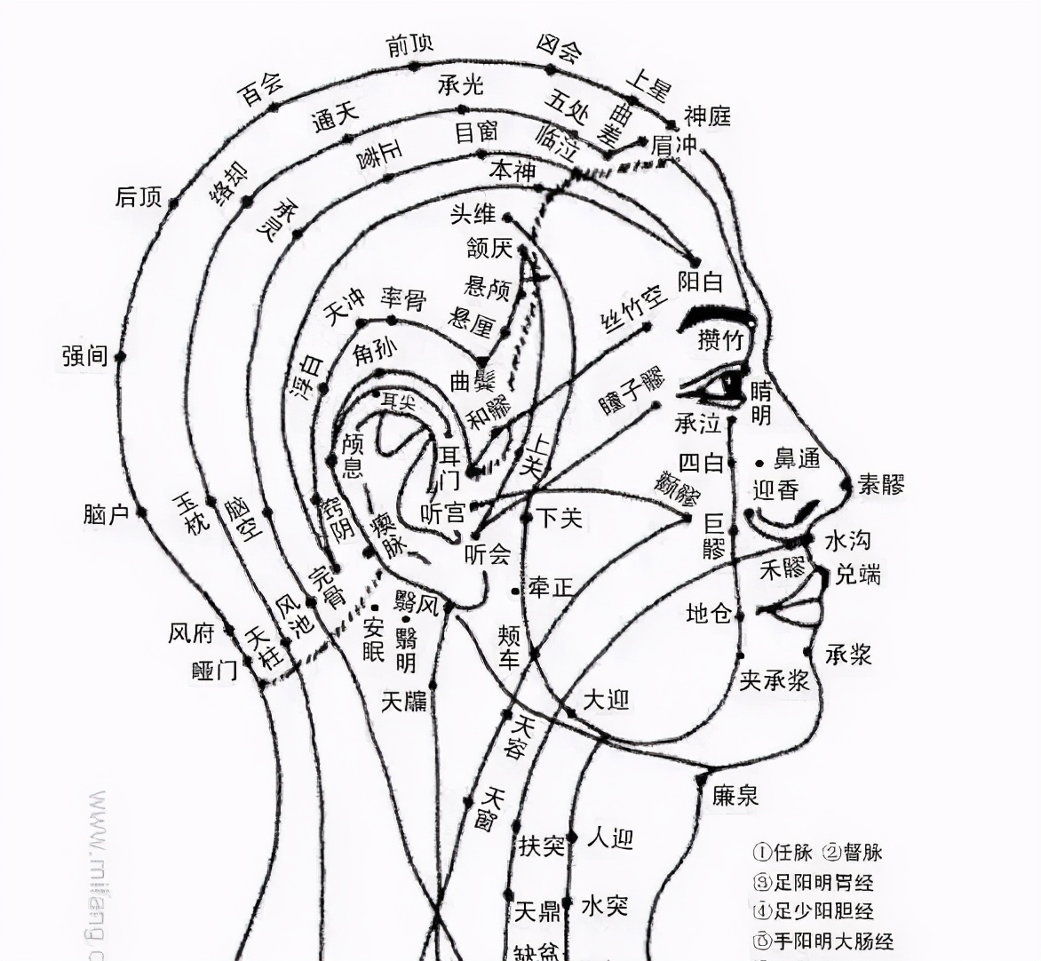 面对众多的梳子品牌，你真的选对了么？