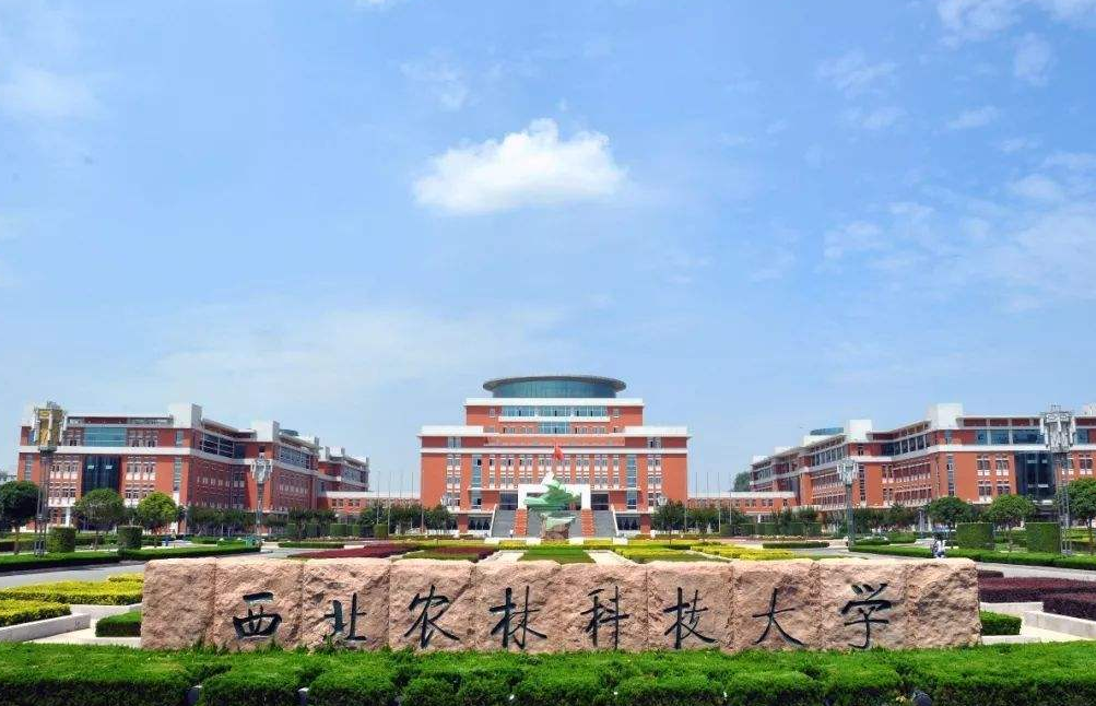 2021年西北高校排行榜公布，榜首众望所归，这所985跌出前5