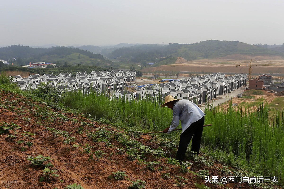 新土地法：农村征收土地，其中的“土地补偿费”归集体所有