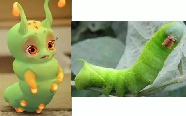 豆丹撑起美食节!且看一只肉虫子的逆袭