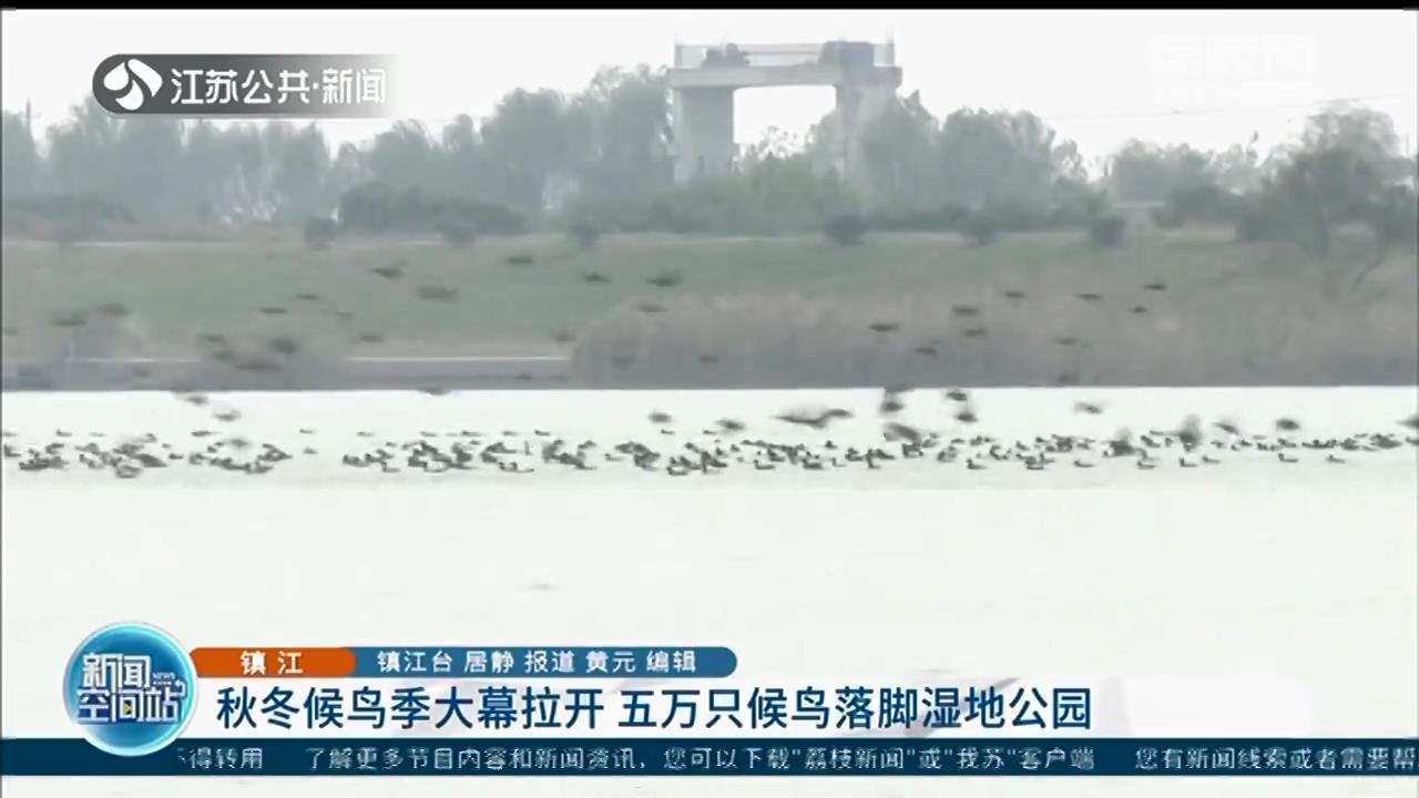 秋冬候鸟季大幕拉开 五万只候鸟落脚镇江句容赤山湖湿地公园