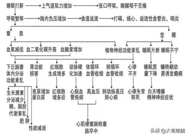 全面解析睡眠呼吸暂停
