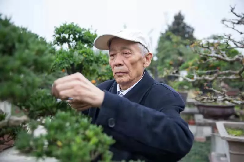 这个花木产区“痛”在哪里?如何解困?