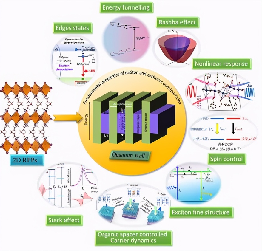近3个月，南师大12项科研成果引起国际关注，涉及肿瘤、乳腺癌等研究治疗！