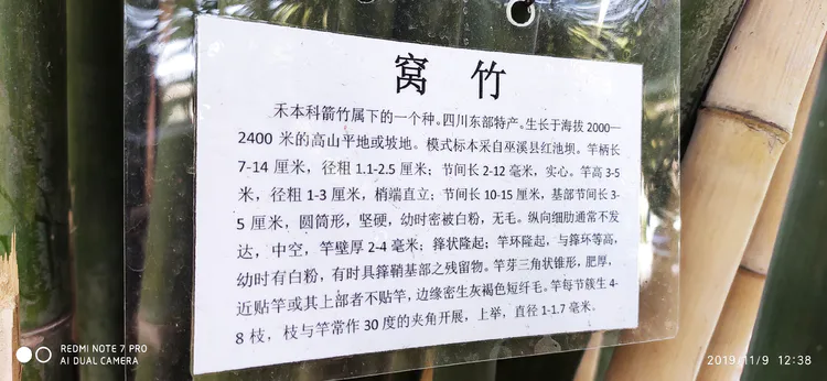 陪你一起看湖北省广水一中①——走进植物王国