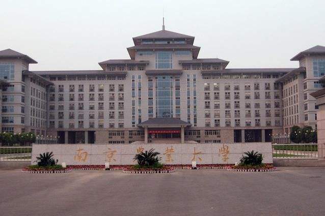 南京地区的12所大学杀入2019世界大学排行榜