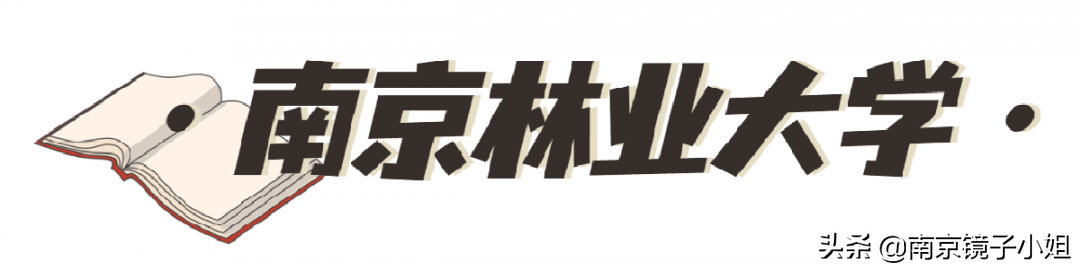 太牛了！全国最新高校榜单曝光，南京占12个