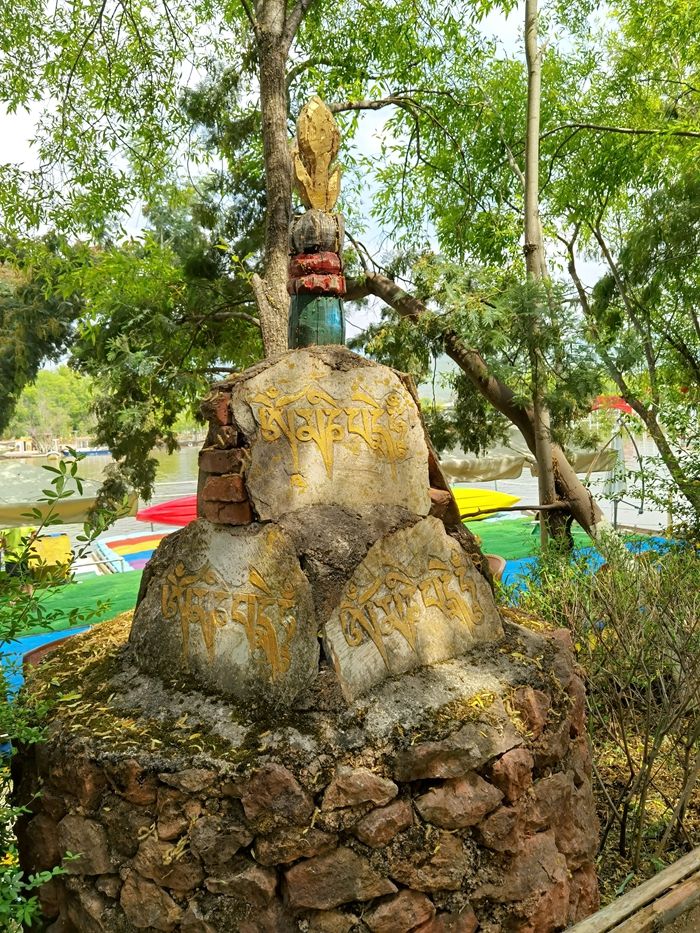 丽江拉市海，骑马走茶马古道，赏鸟走观湖长廊