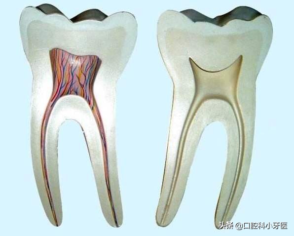 牙齿疼痛难忍口腔医生诊断牙髓炎，牙髓炎症可以消炎治疗吗？