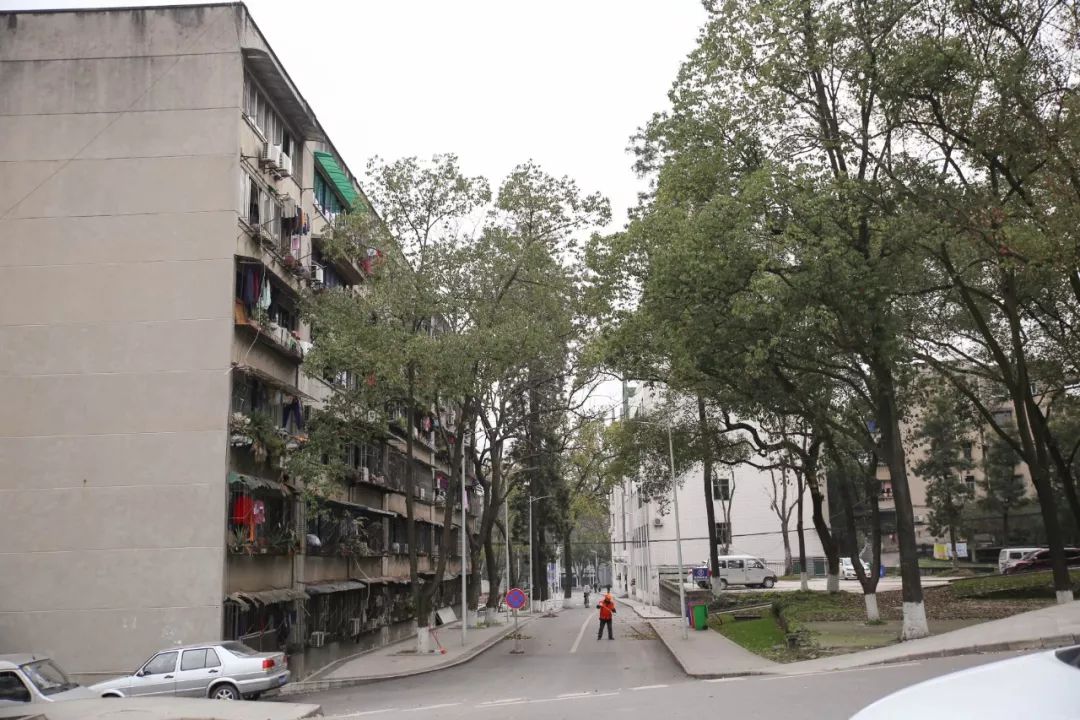 期待！宜宾职业技术学院要搬啦，拟选址南溪...