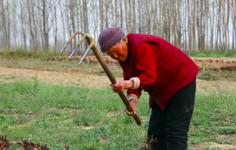 60岁以上老农民，每月能领多少养老钱，有没有500元？