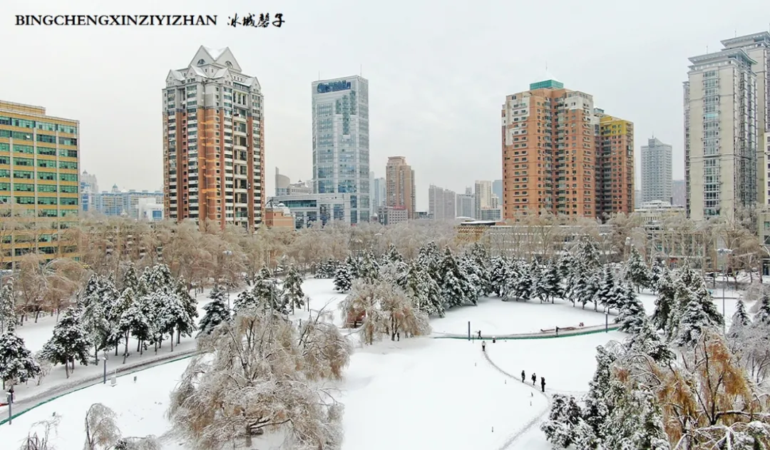 冰城暴雪冻雨之时，却让哈尔滨成为冬的水墨画卷