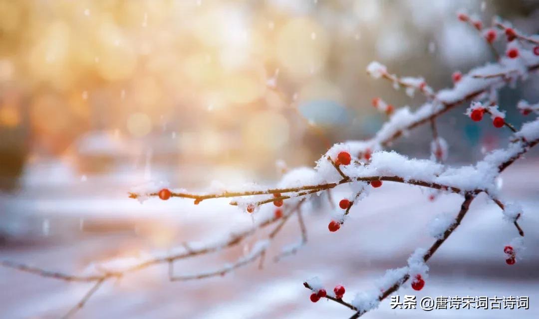 雪，亦是春色