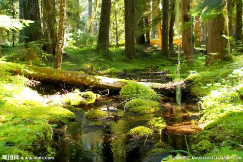 预测对了2018高考作文题目的老师，又发布了2019高考作文题预测！