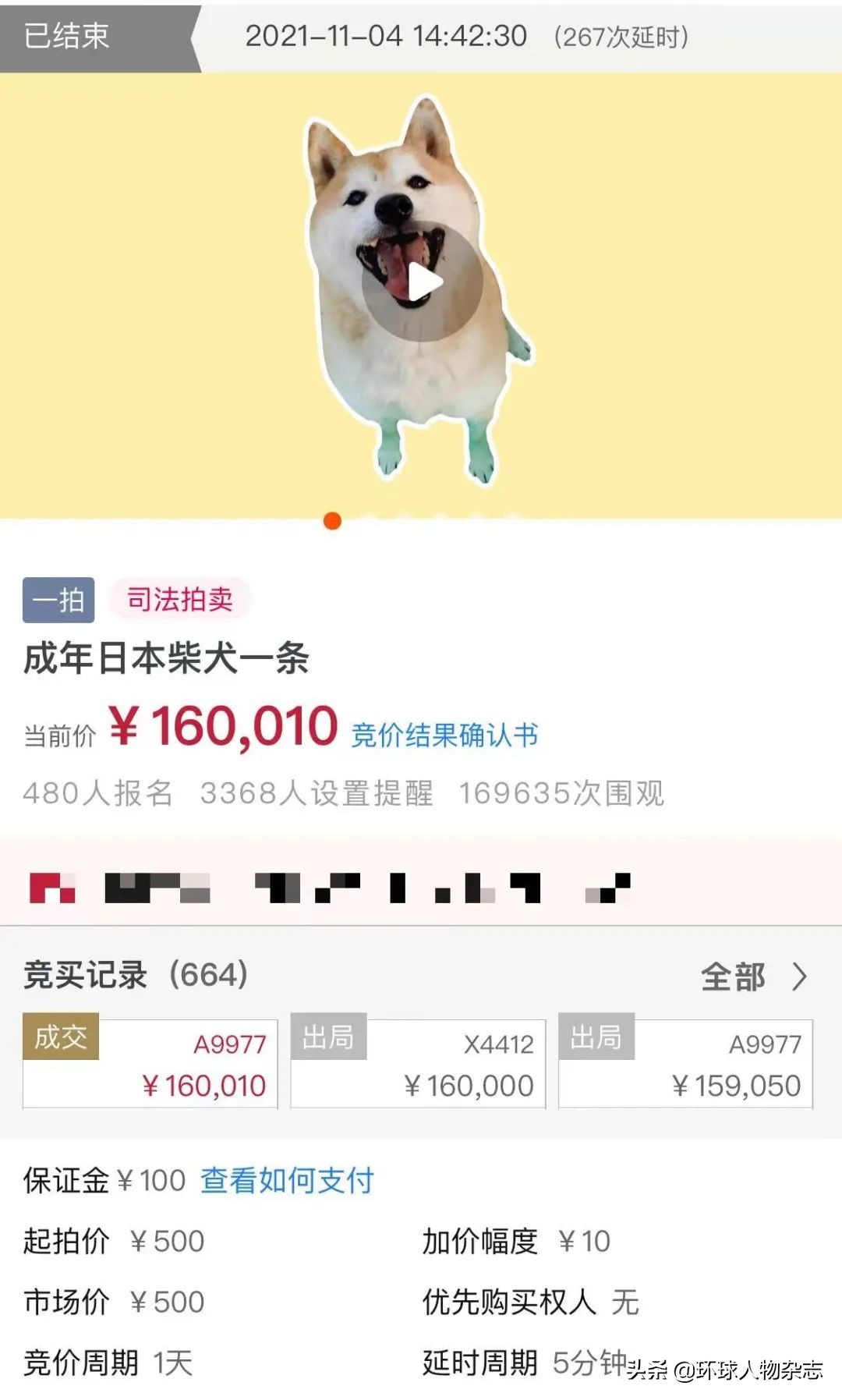 松獅價錢,松獅價格是多少一只