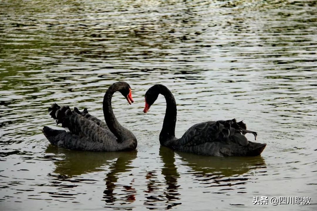 2所大学和1所中职强强联合，下岗工人等群体在春季读全日制大学