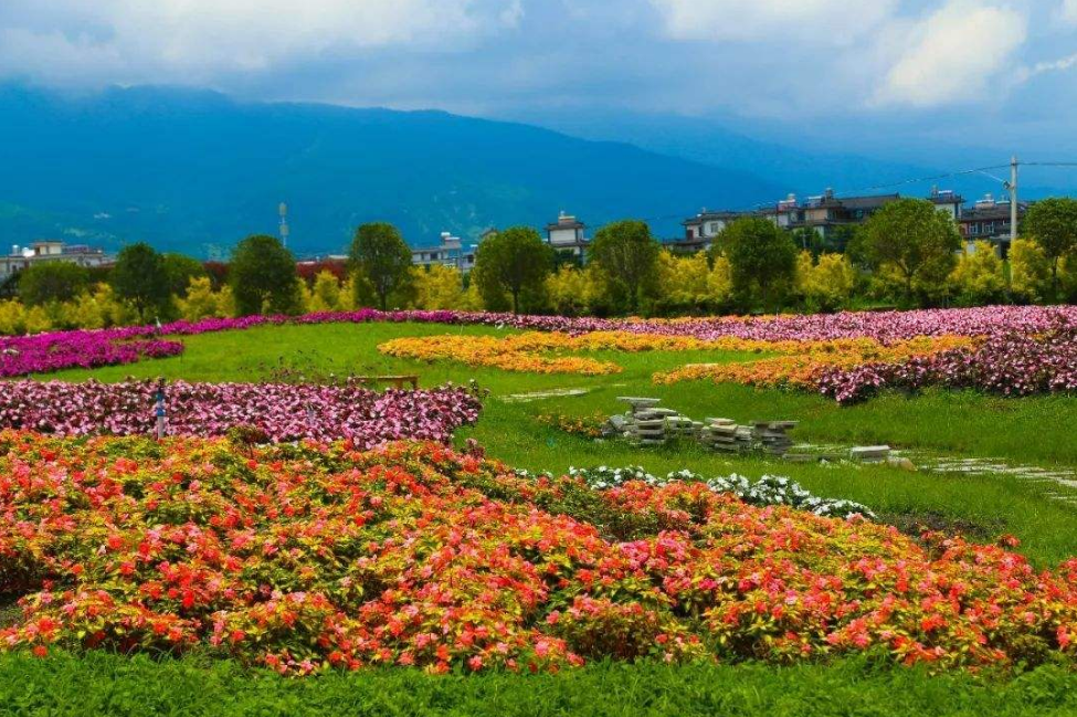 「诗词鉴赏」十首最美的秋日诗词，一起感知秋日美好